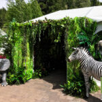 zebra and elephant decorations