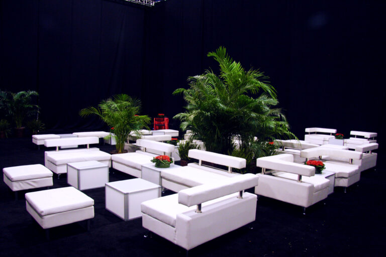White Sofa Set Furniture and Plant Trees
