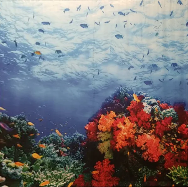Coral Reef Backdrop