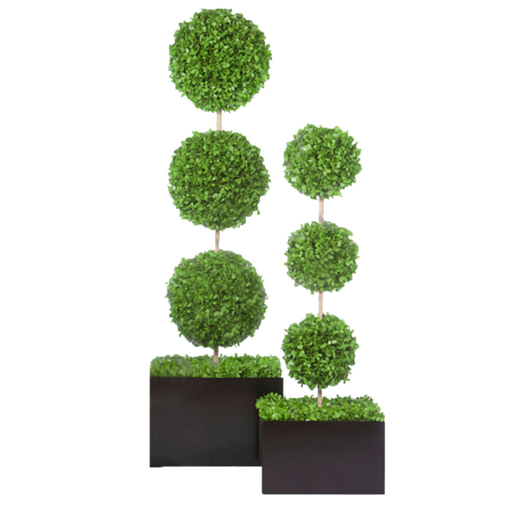 Topiaries - In The Event