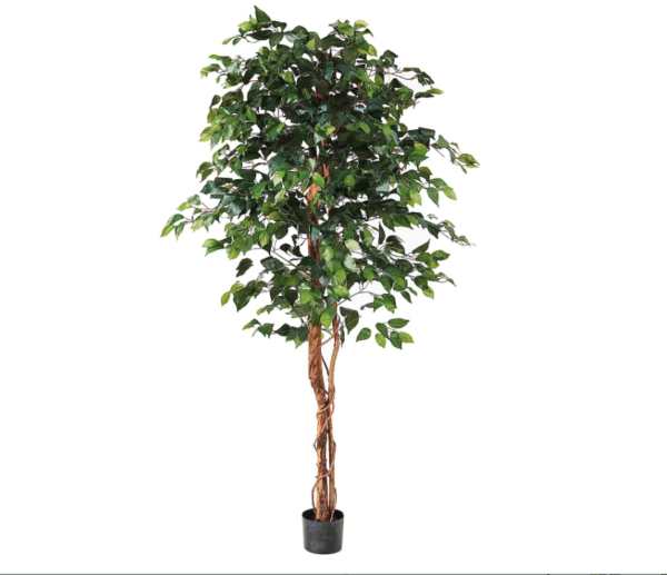 6' Faux Ficus Tree