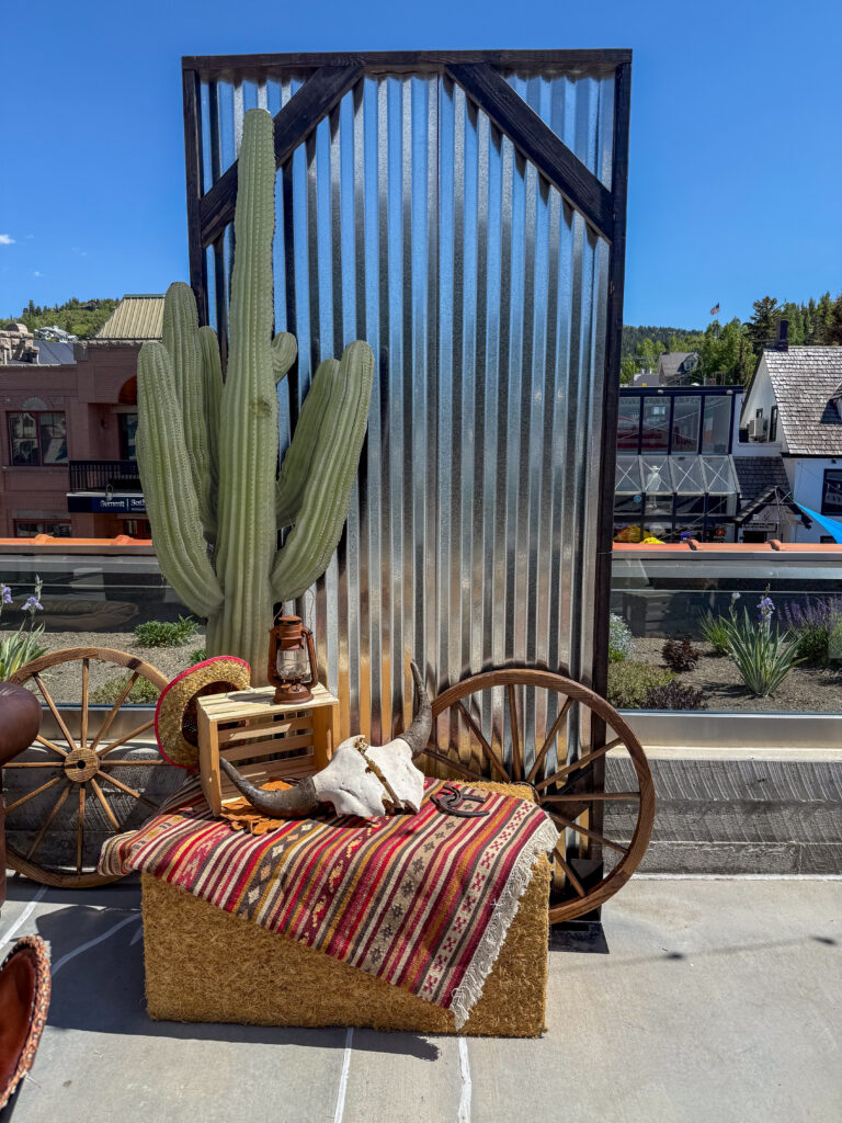 Rustic Western photo backdrop featuring a tall cactus, corrugated metal wall, hay bale with patterned blanket, wagon wheels, and steer skull décor.