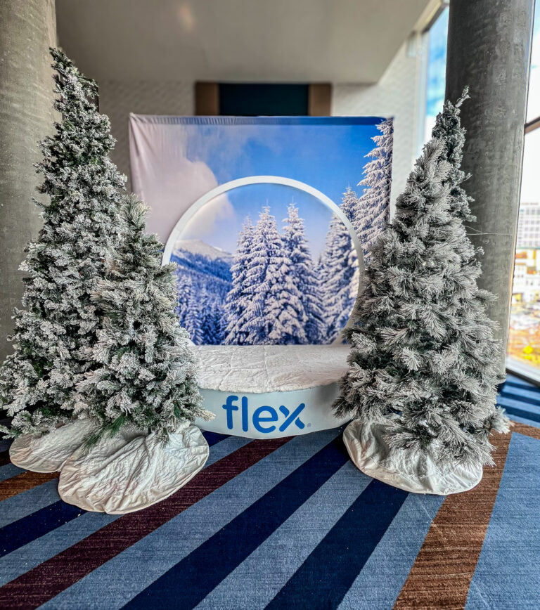 Flex-branded snow globe photo booth surrounded by frosted Christmas trees and a snowy mountain backdrop.