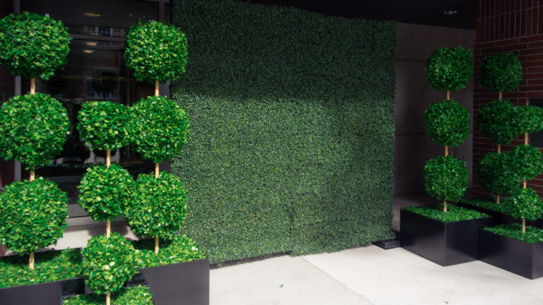 Boxwood hedge backdrop framed by spiral topiary arrangements in black planters at Westminster University’s 150th anniversary gala