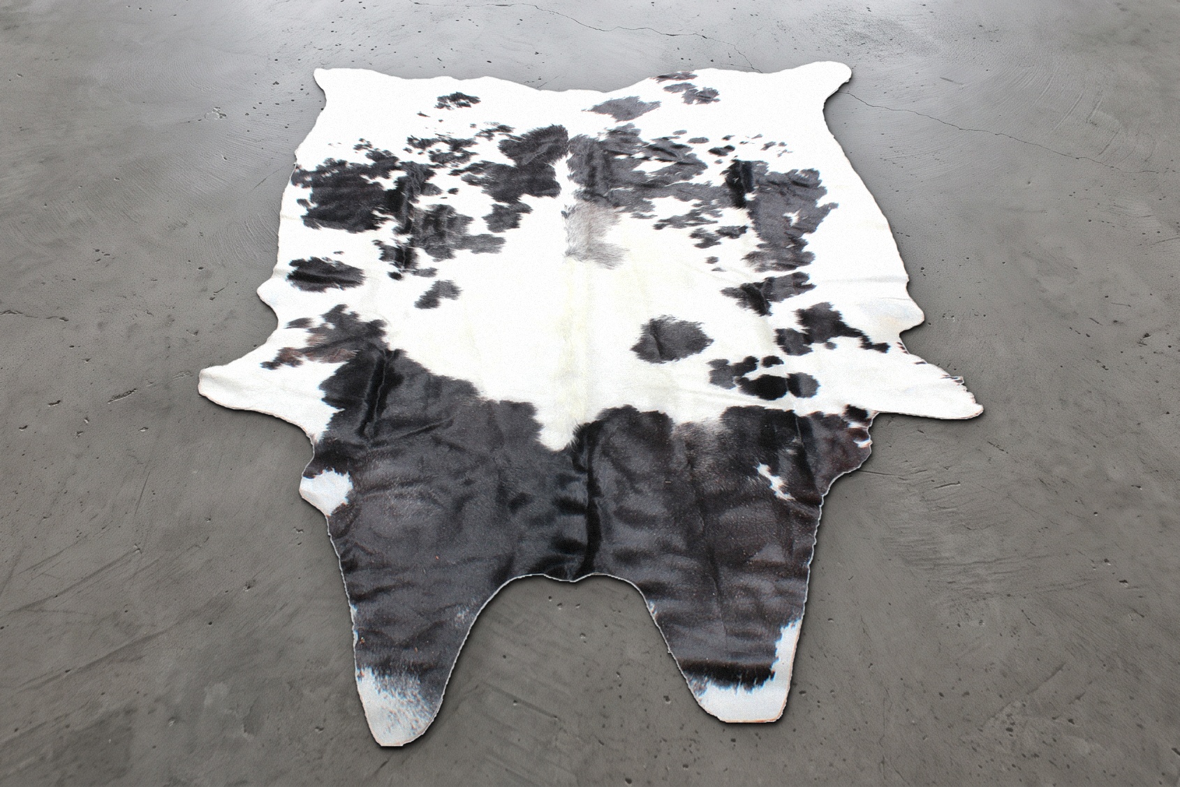White cowhide rug with black speckles and a solid black rear, approximately 7 feet, shown on a concrete floor